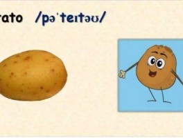 t土豆网（potato的读音？）