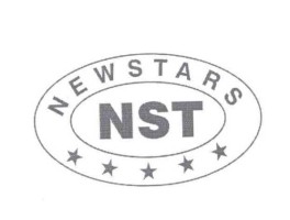 nst是什么？nst 是什么公司？
