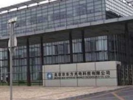 200725股票？京东方科技集团股份有限公司介绍？