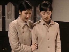 赵刚简介？亮剑赵刚的女友？