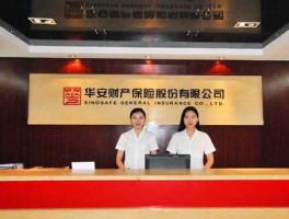 华安投资管理公司，华安保险公司的股东有谁？