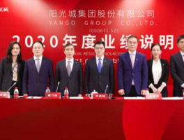 周苏华，阳光控股和阳光龙净是什么关系？