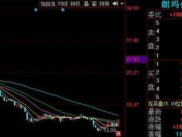 300288股票 朗玛移动是什么意思？