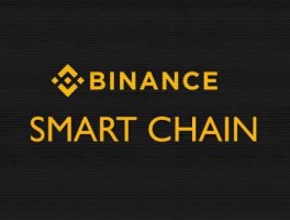 BSC 币安智能链全解析：全面解读BSC特性、BEP-20、热门DApp