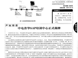 中电普华 sap有什么品牌？