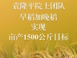 袁隆平团队沙漠海水稻亩产超千斤 2021年超级水稻亩产量？