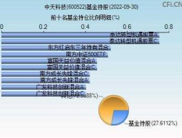600522，600522中天科技股票有“云计算”，他们利用“云计算”技术做什么了他们是云计算的服务器端还是用户端？