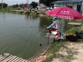 神州钓鱼网？常熟20元一天钓鱼的地点？