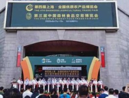 森博会，什么是森博会？