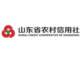 山东省农村信用社网 山东农信是山东省农村信用社的意思吗？