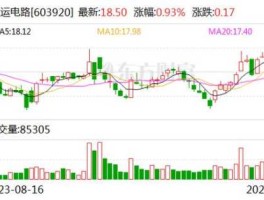 工大高新股票，在上海证券交易所上市的公司有哪些？