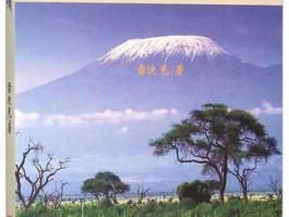 雷迪克，雷迪克空调柜使用说明书？