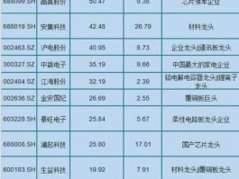 600990，半导体细分龙头？