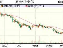 舒卡股份（2007年的最牛股是什么？）