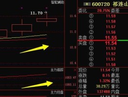 祁连山股票？中止审查是什么意思？
