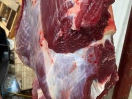 黄牛（淄博烧烤黄牛票怎么买？）