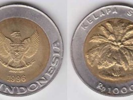 rp是什么货币（RP是什么货币）