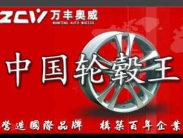 万丰奥威股吧？奥威和万丰哪个好？