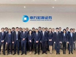 宏源证券（申万宏源是央企还是国企？）