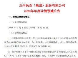 600738兰州民百 兰州上市公司有哪些？