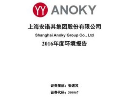 300067安诺其 上海安诺其集团股份有限公司介绍？