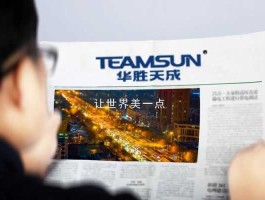 华胜天成，对华胜天成的评价？