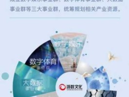 浙数文化，浙数文化大数据前景？