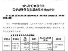 银亿股份股票 st银亿是国企吗？