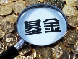 每日基金123？在银行工作人员的忽悠下买了基金，亏了怎么办？