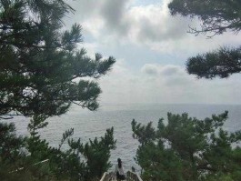 獐子岛 大连獐子岛旅游好玩吗？