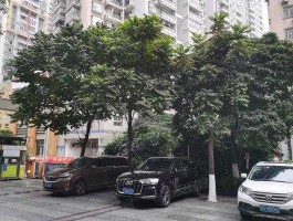 钟村二手房网（恒盛苑当年开盘价多少？）