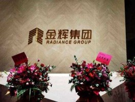金辉控股？金辉集团怎么样？