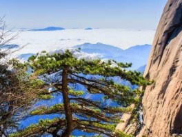 黄山旅游b股 黄山旅游a股和b股差别？