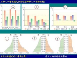 人口结构 人口结构三种类型？