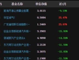 000566股票？抽水蓄能基金有哪些？