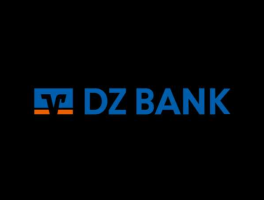 DZ BANK（凭证中DZ代表的含义？）