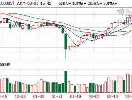 凯马b股票，b股有哪些公司？
