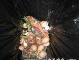 鸡蛋壳属于什么垃圾（什么是垃圾鸡蛋？）