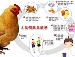 qinliugan（禽流感是什么？）