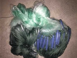 卖收网 流水怎么下粘网捕鱼？
