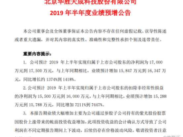 600410华胜天成 600410华胜天成是做什么的？