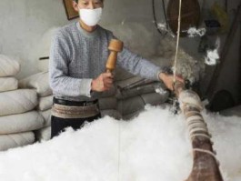 新棉花价格，苏家屯弹棉花价格？