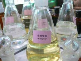 生物柴油，生物柴油是什么时候开始用的？