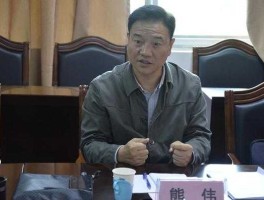 熊伟（熊伟主要成就？）