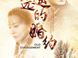 顾晶 遥远的婚约作者是谁？