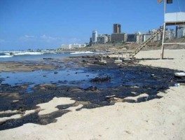 石油泄漏？石油泄漏是属于环境污染还是生态破坏？