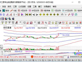 股票000935，四川双马是做什么的？