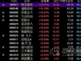 002285股票（2009年新上市的股票有哪些？）