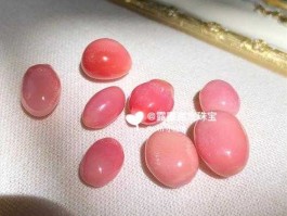海螺珠，什么叫海螺珠？