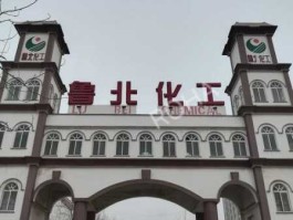 鲁北化工吧 山东最大化工企业排名？